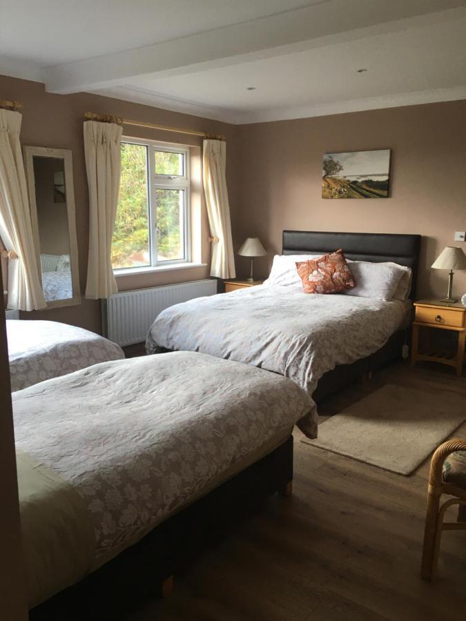 クリフデン Atlantic View Bed & Breakfast エクステリア 写真